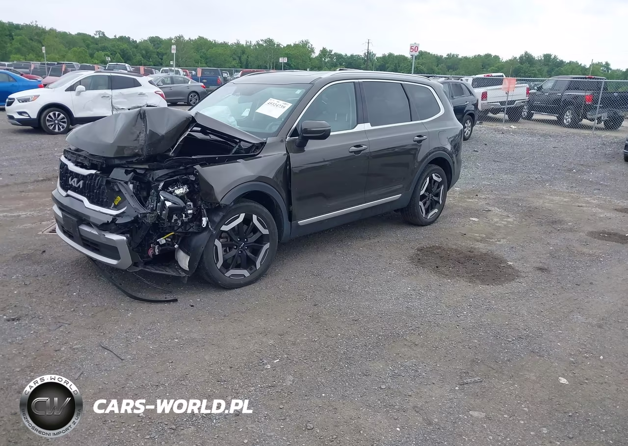 2023 Kia Telluride Ex VIN:5XYP3DGC9PG339129 - 2