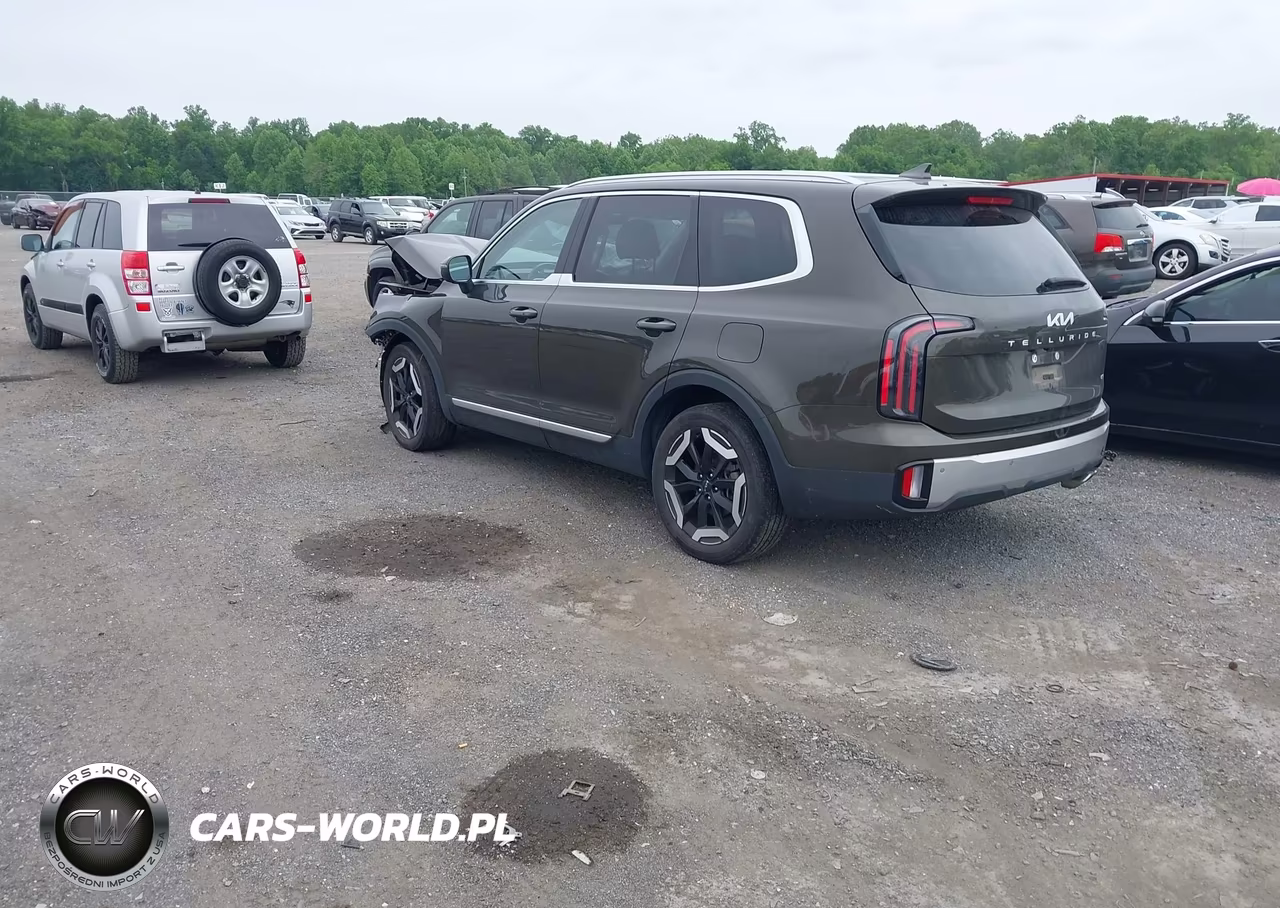 2023 Kia Telluride Ex VIN:5XYP3DGC9PG339129 - 3