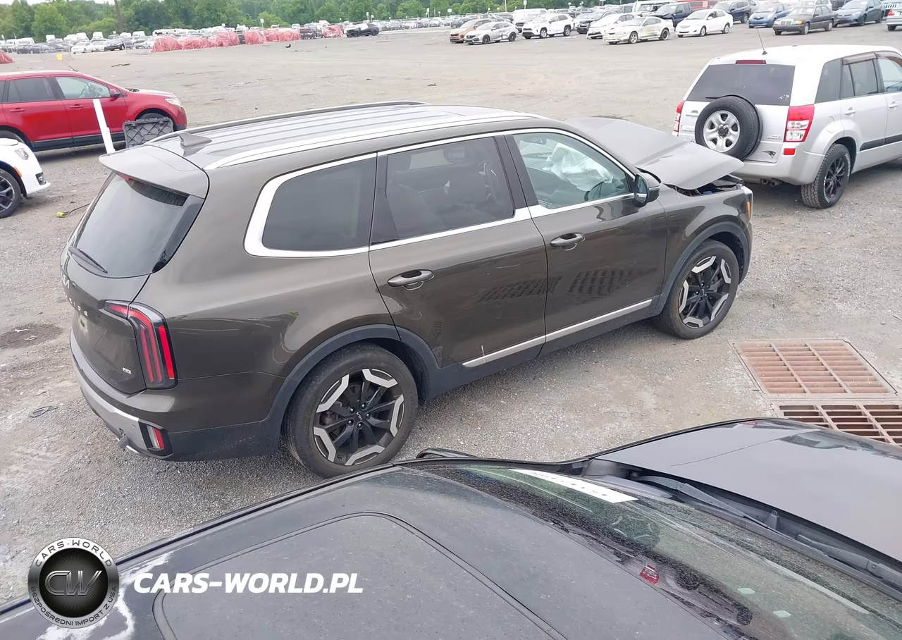 2023 Kia Telluride Ex VIN:5XYP3DGC9PG339129 - 4