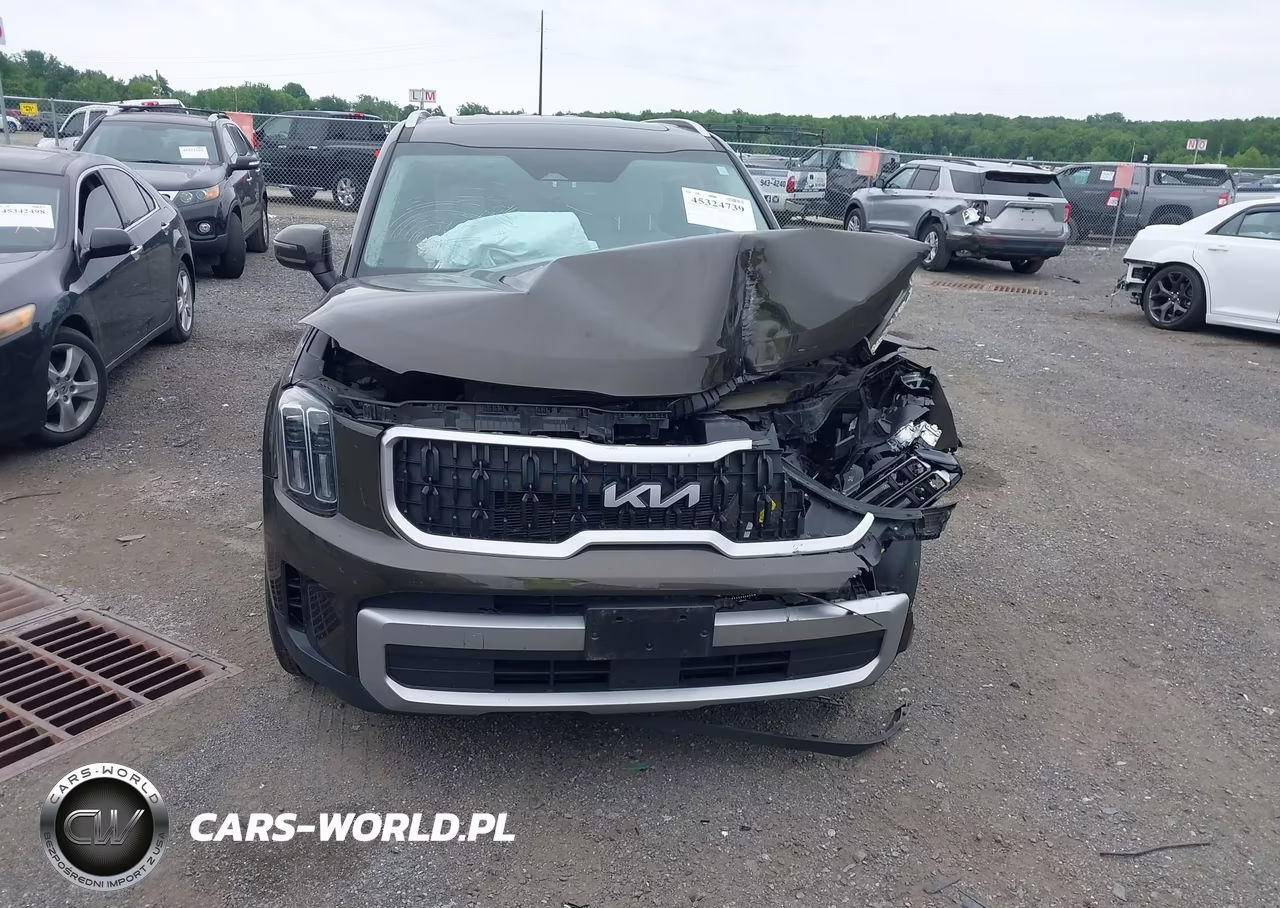 2023 Kia Telluride Ex VIN:5XYP3DGC9PG339129 - 6