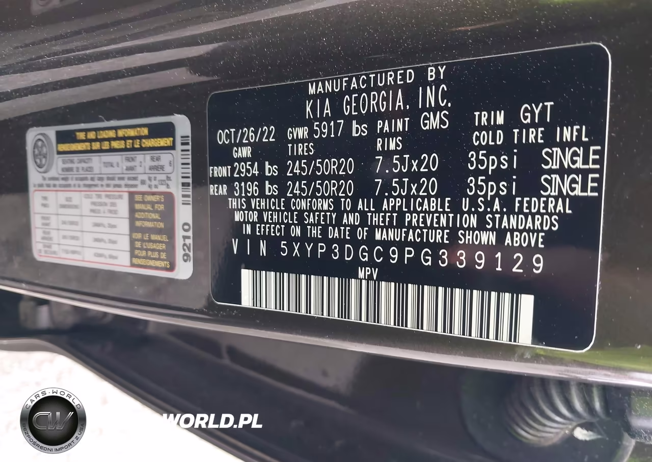 2023 Kia Telluride Ex VIN:5XYP3DGC9PG339129 - 9