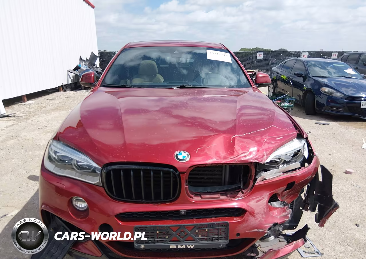 2015 BMW X6 xDrive35I VIN:5UXKU2C50F0F94969 - 12