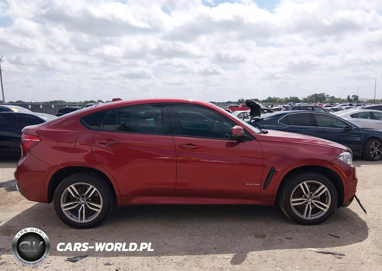 2015 BMW X6 xDrive35I VIN:5UXKU2C50F0F94969 - 13