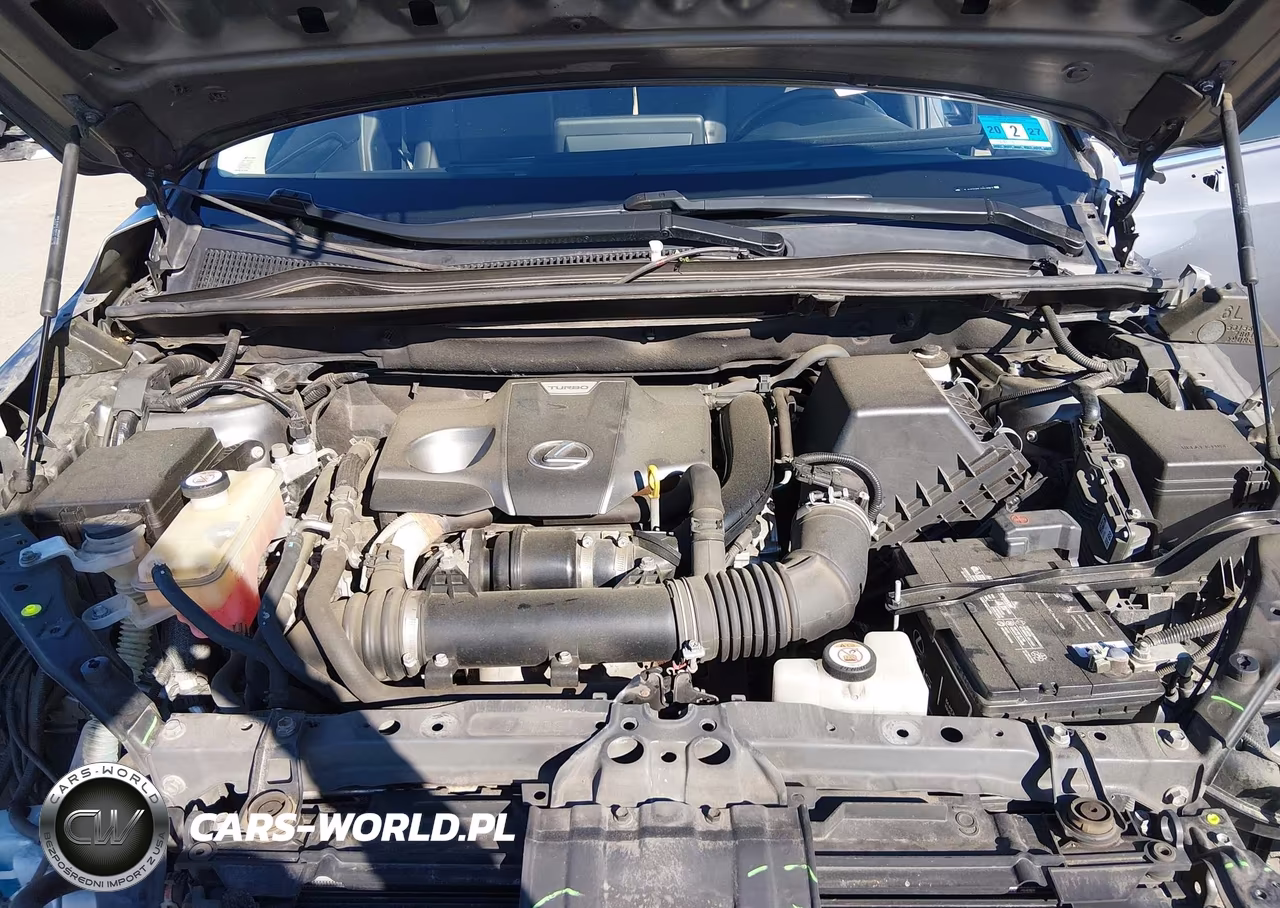 2020 Lexus Nx 300 VIN:JTJDARDZ3L5013857 - 10