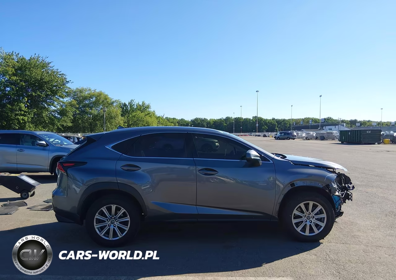 2020 Lexus Nx 300 VIN:JTJDARDZ3L5013857 - 13