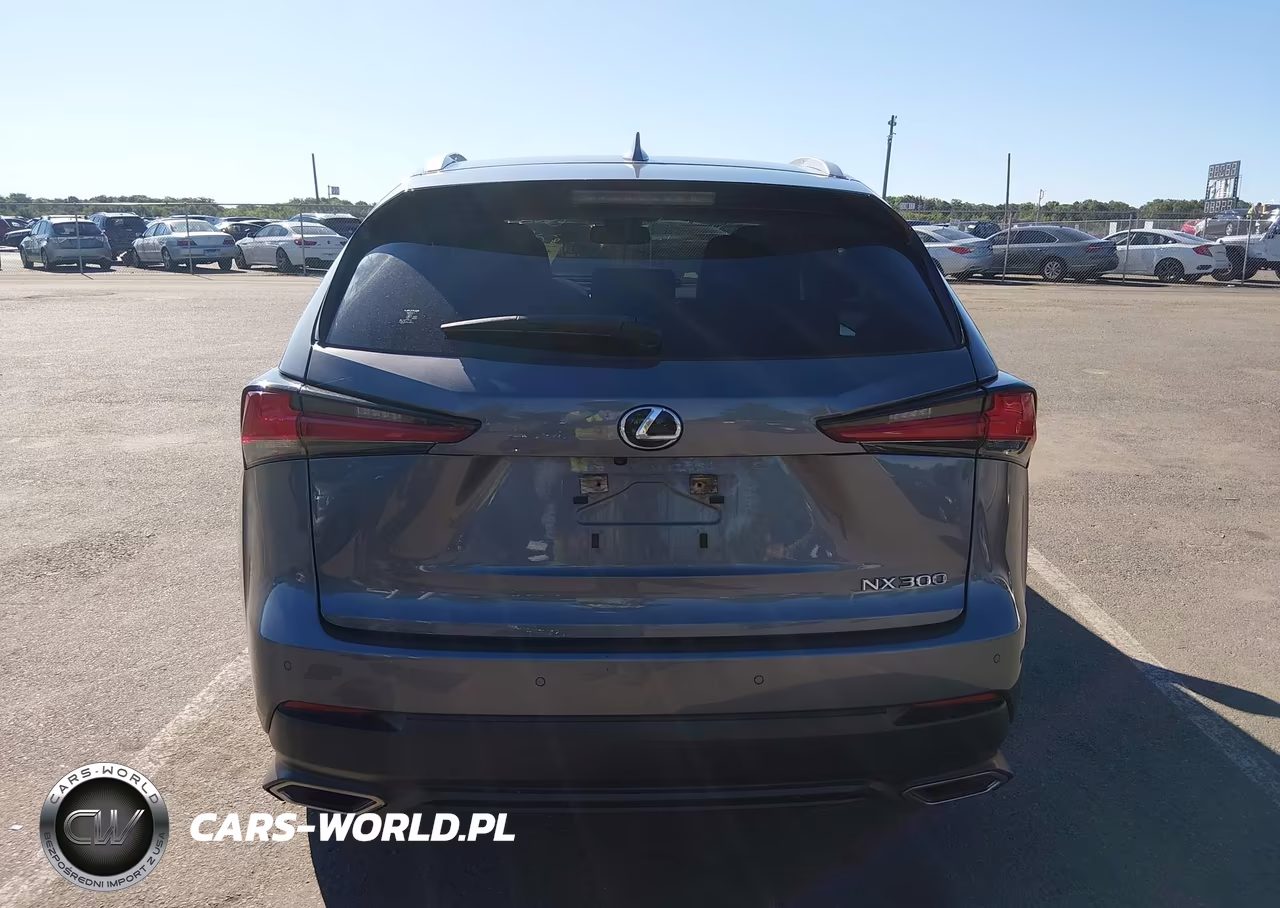 2020 Lexus Nx 300 VIN:JTJDARDZ3L5013857 - 16