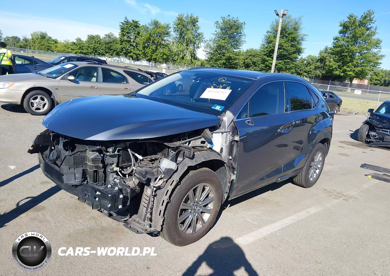 2020 Lexus Nx 300 VIN:JTJDARDZ3L5013857 - 2
