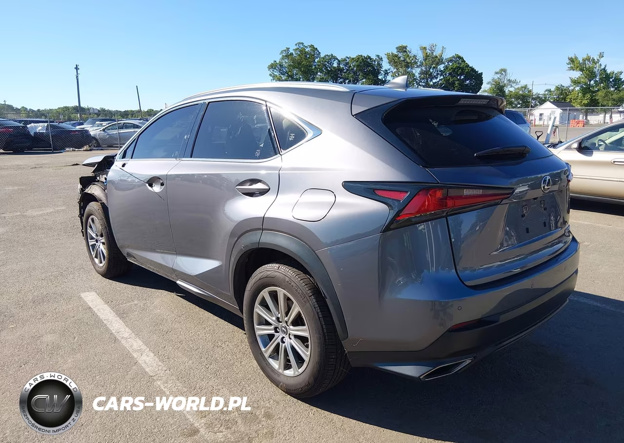 2020 Lexus Nx 300 VIN:JTJDARDZ3L5013857 - 3