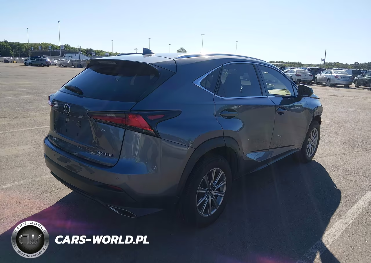 2020 Lexus Nx 300 VIN:JTJDARDZ3L5013857 - 4