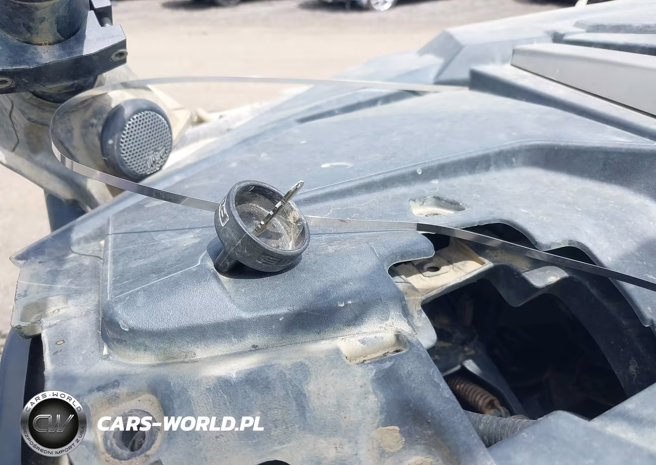 2024 Polaris Rzr Turbo R 4 Ultimate VIN:3NSG4D925RG064329 - 11