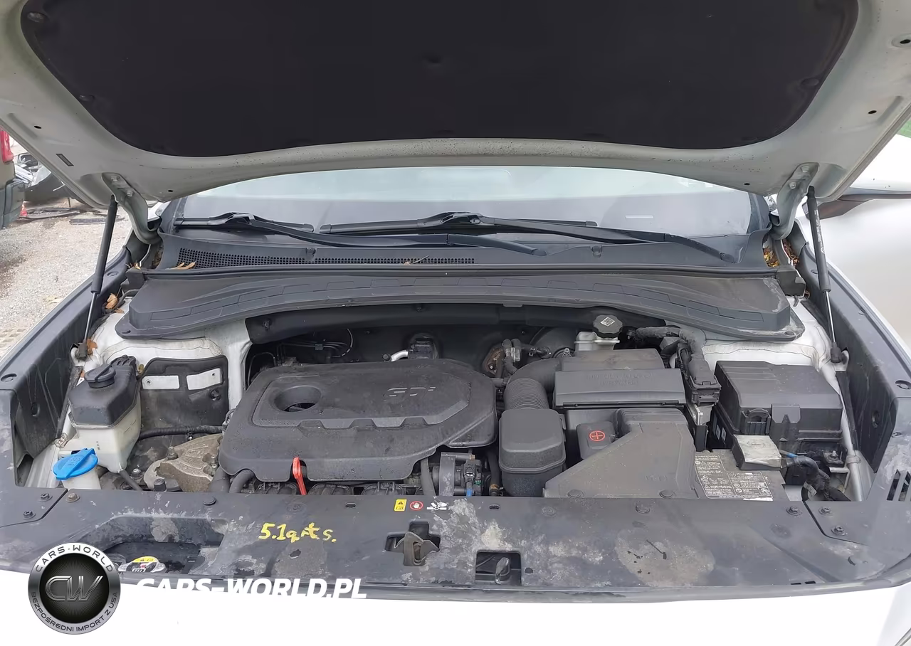 2019 Hyundai Santa Fe Sel Plus VIN:5NMS3CAD2KH074168 - 10