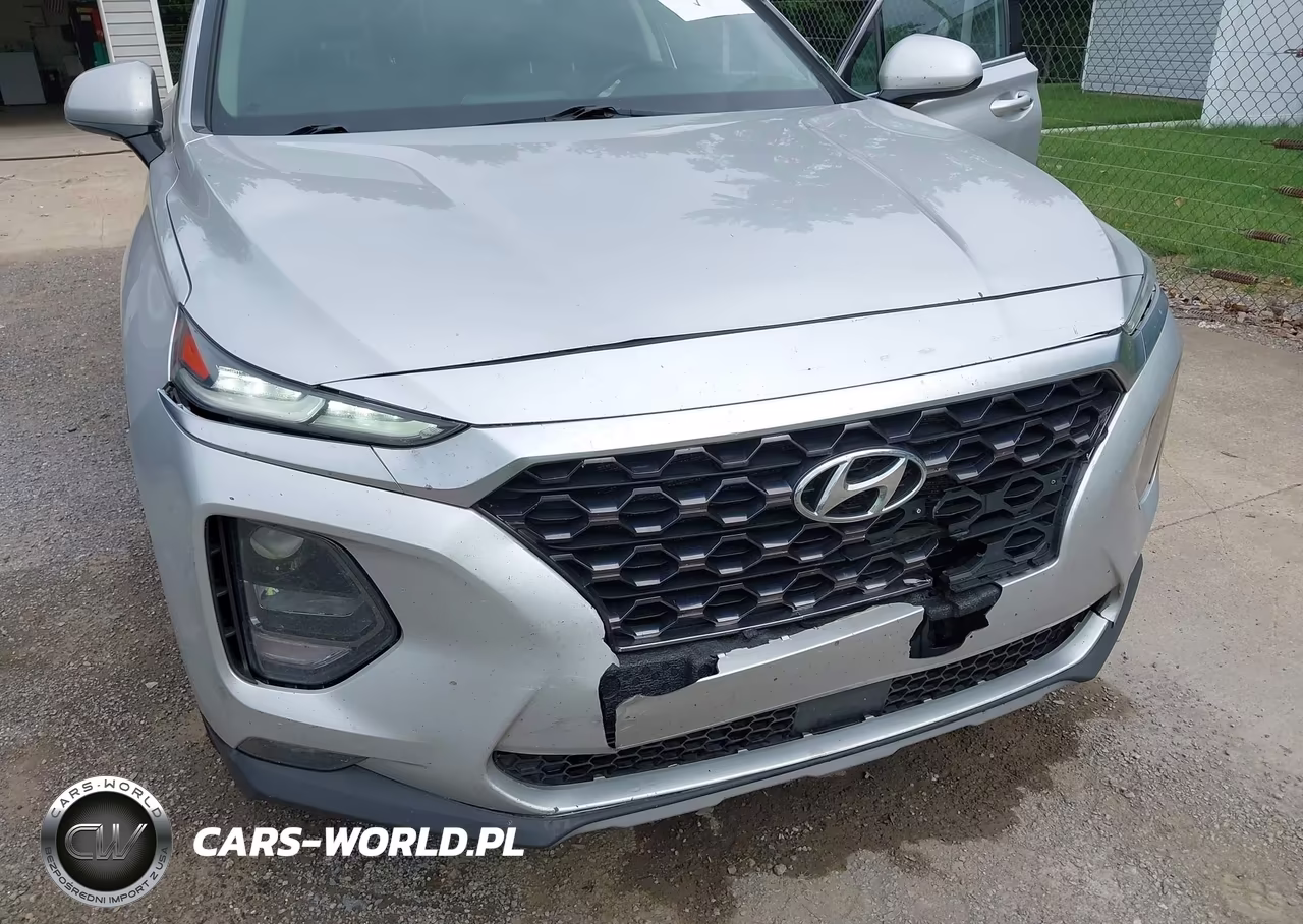 2019 Hyundai Santa Fe Sel Plus VIN:5NMS3CAD2KH074168 - 17