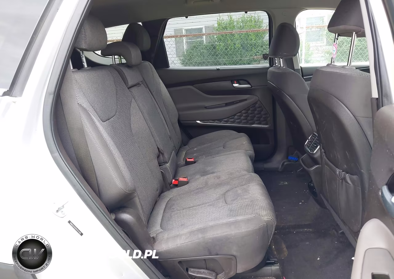 2019 Hyundai Santa Fe Sel Plus VIN:5NMS3CAD2KH074168 - 8
