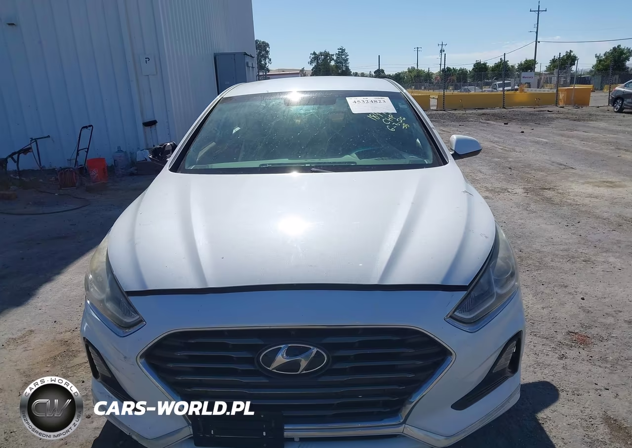 2019 Hyundai Sonata Se VIN:5NPE24AF9KH777339 - 12