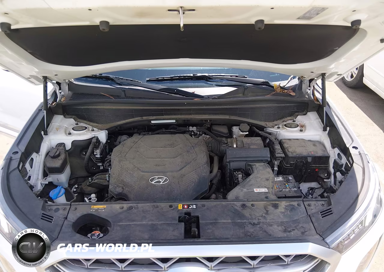 2020 Hyundai Palisade Limited VIN:KM8R54HE3LU076787 - 10