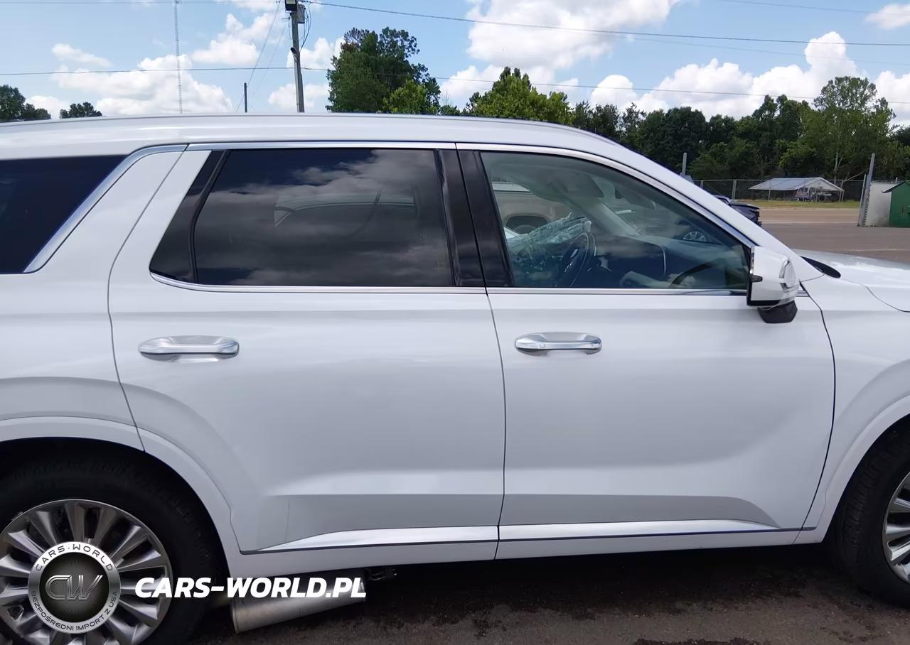 2020 Hyundai Palisade Limited VIN:KM8R54HE3LU076787 - 14