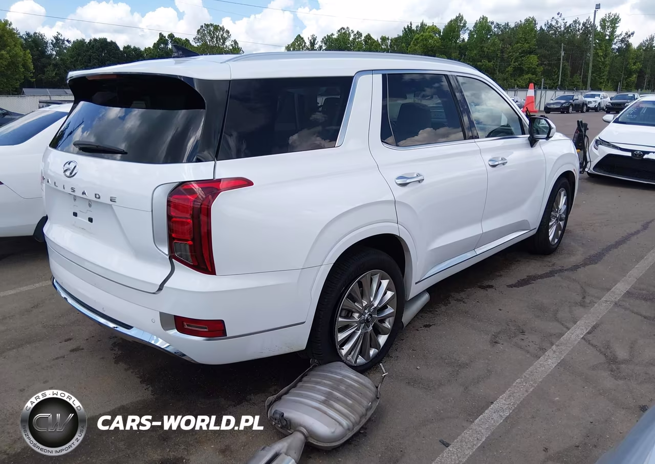 2020 Hyundai Palisade Limited VIN:KM8R54HE3LU076787 - 4
