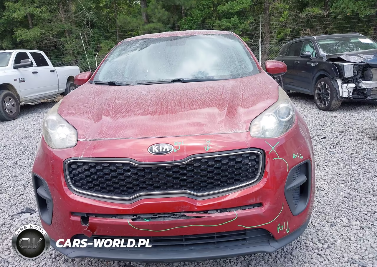 2019 Kia Sportage Lx VIN:KNDPM3AC3K7539865 - 13