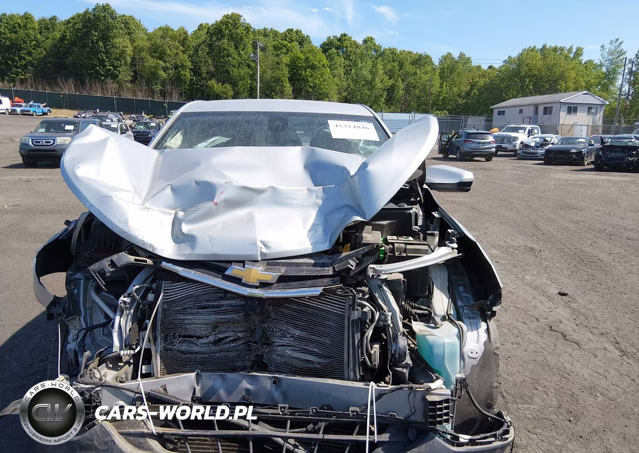 2019 Chevrolet Equinox Lt VIN:2GNAXTEV7K6269619 - 12
