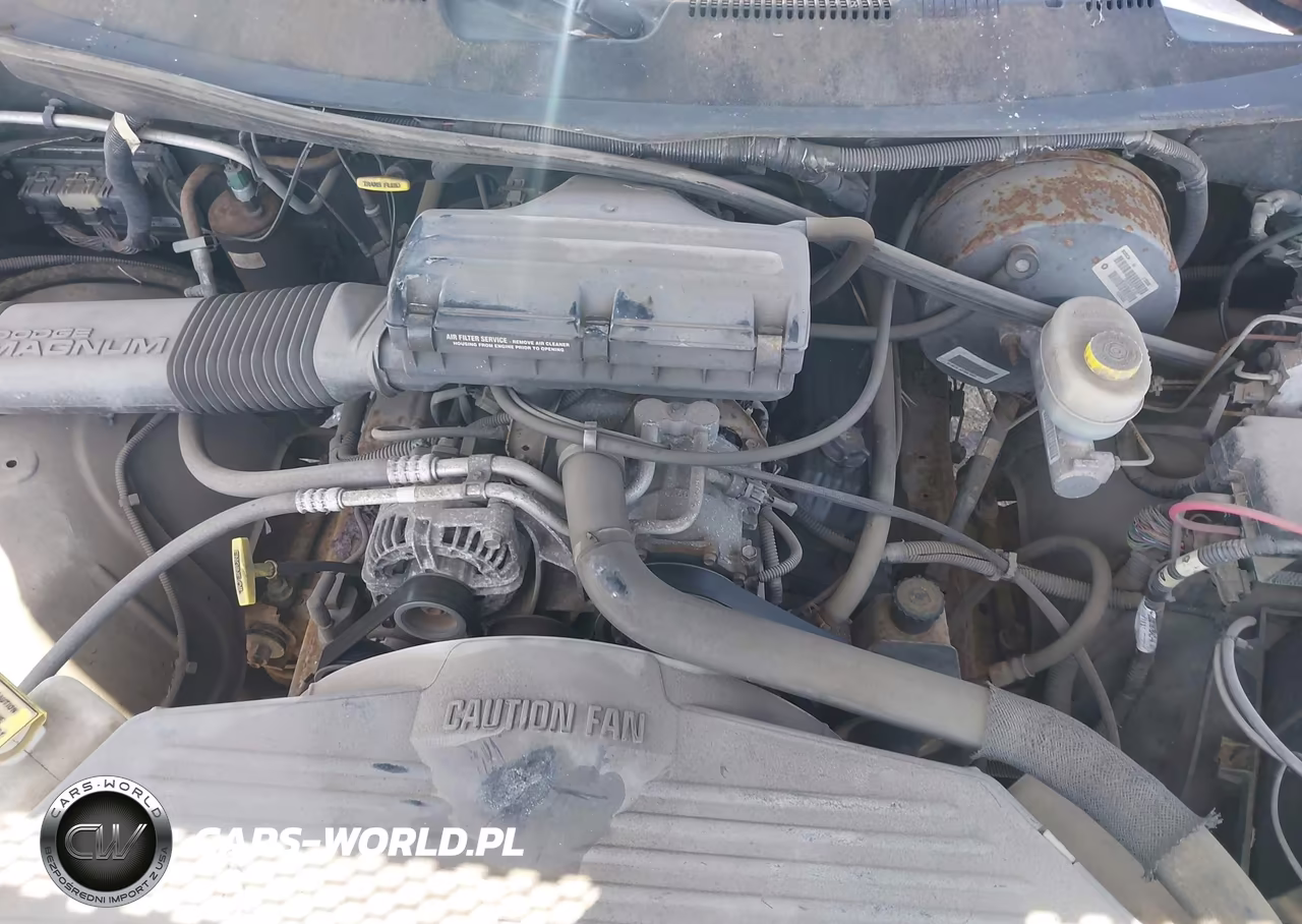 1999 Dodge Ram 1500 St VIN:3B7HC13Z8XG172986 - 10