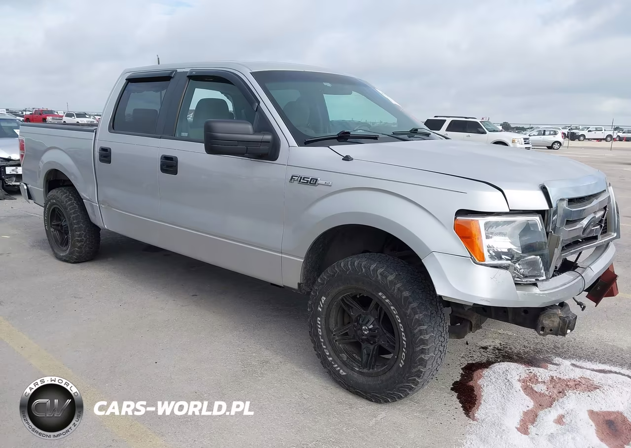 2009 Ford F-150 Xl-Xlt