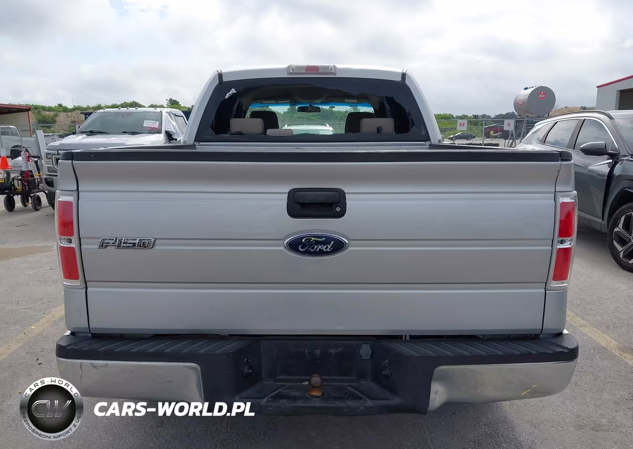 2009 Ford F-150 Xl-Xlt VIN:1FTRW12859FB00622 - 17