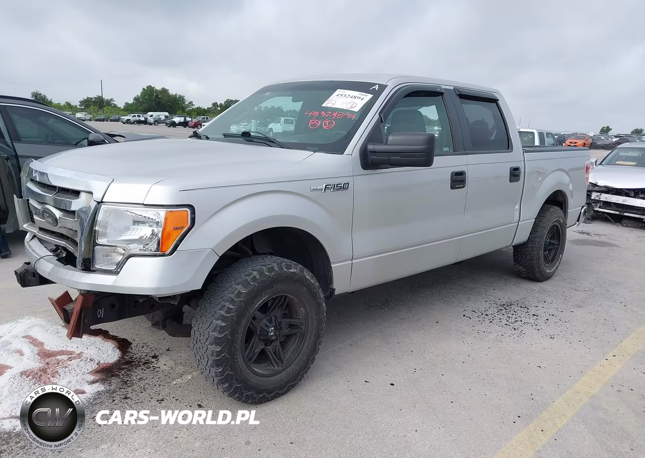 2009 Ford F-150 Xl-Xlt VIN:1FTRW12859FB00622 - 2