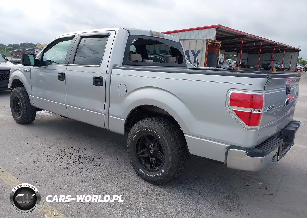 2009 Ford F-150 Xl-Xlt VIN:1FTRW12859FB00622 - 3