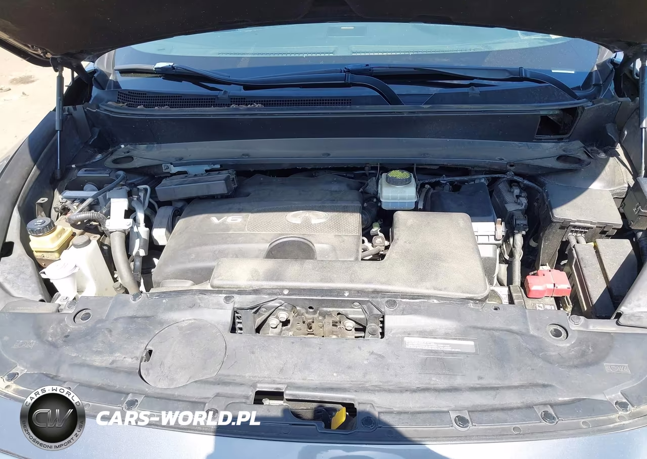 2019 Infiniti Qx60 Luxe VIN:5N1DL0MM6KC511392 - 10