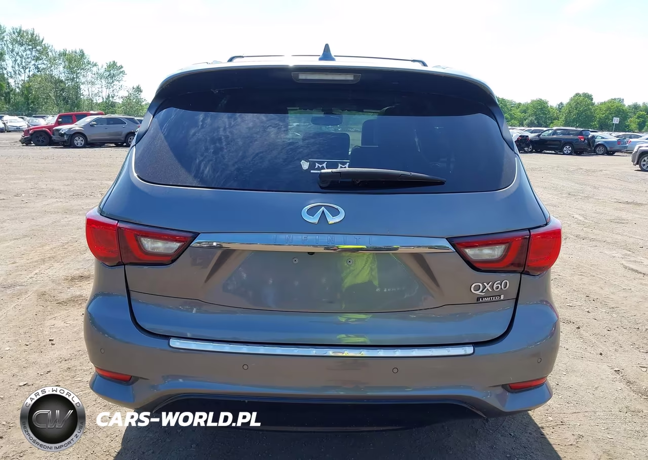 2019 Infiniti Qx60 Luxe VIN:5N1DL0MM6KC511392 - 16