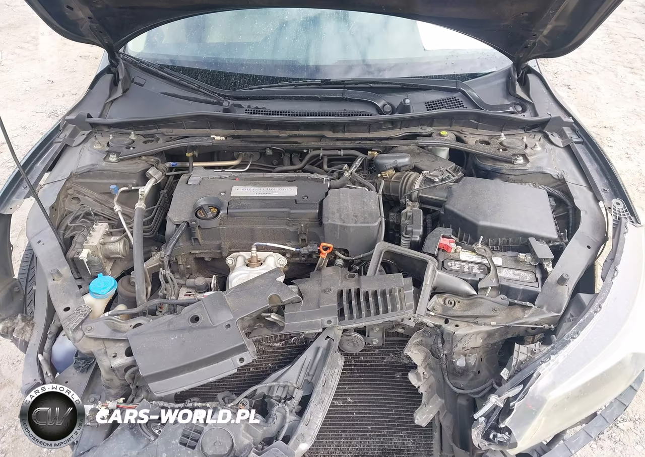 2014 Honda Accord Ex-L VIN:1HGCR2F81EA121067 - 10