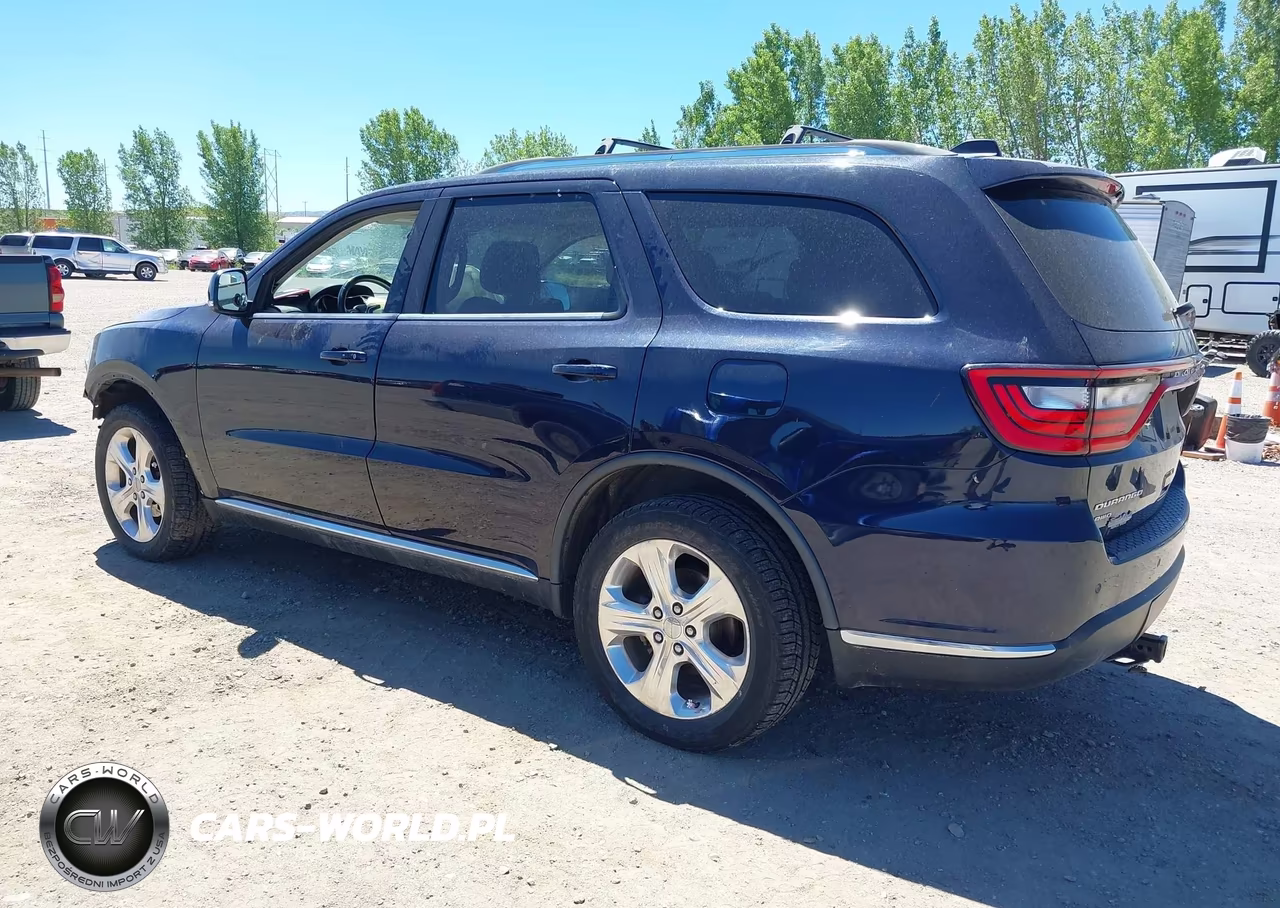 2015 Dodge Durango Limited VIN:1C4RDJDG1FC695492 - 3
