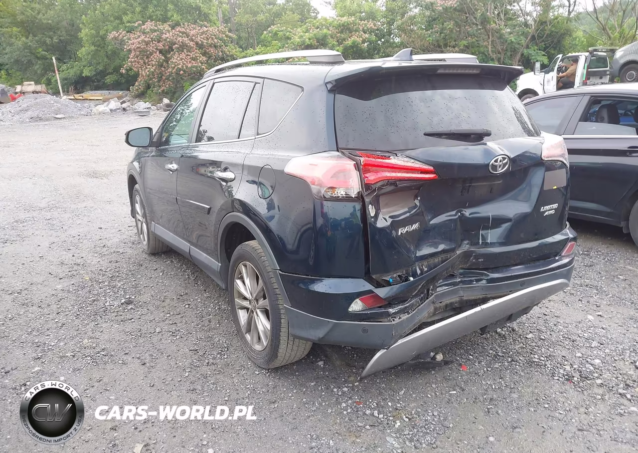 2017 Toyota Rav4 Limited VIN:2T3DFREV1HW549982 - 3