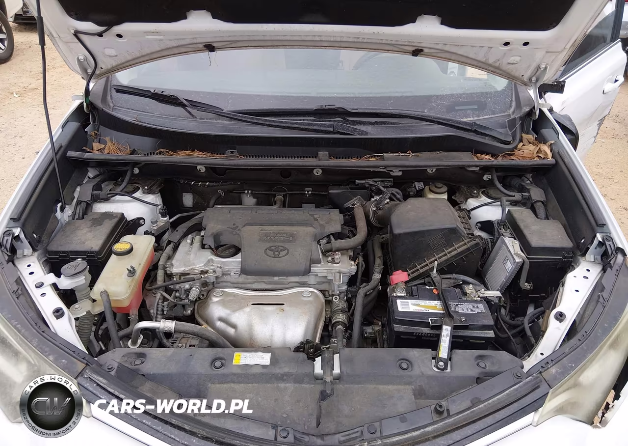 2017 Toyota Rav4 Xle VIN:2T3WFREV5HW392157 - 10