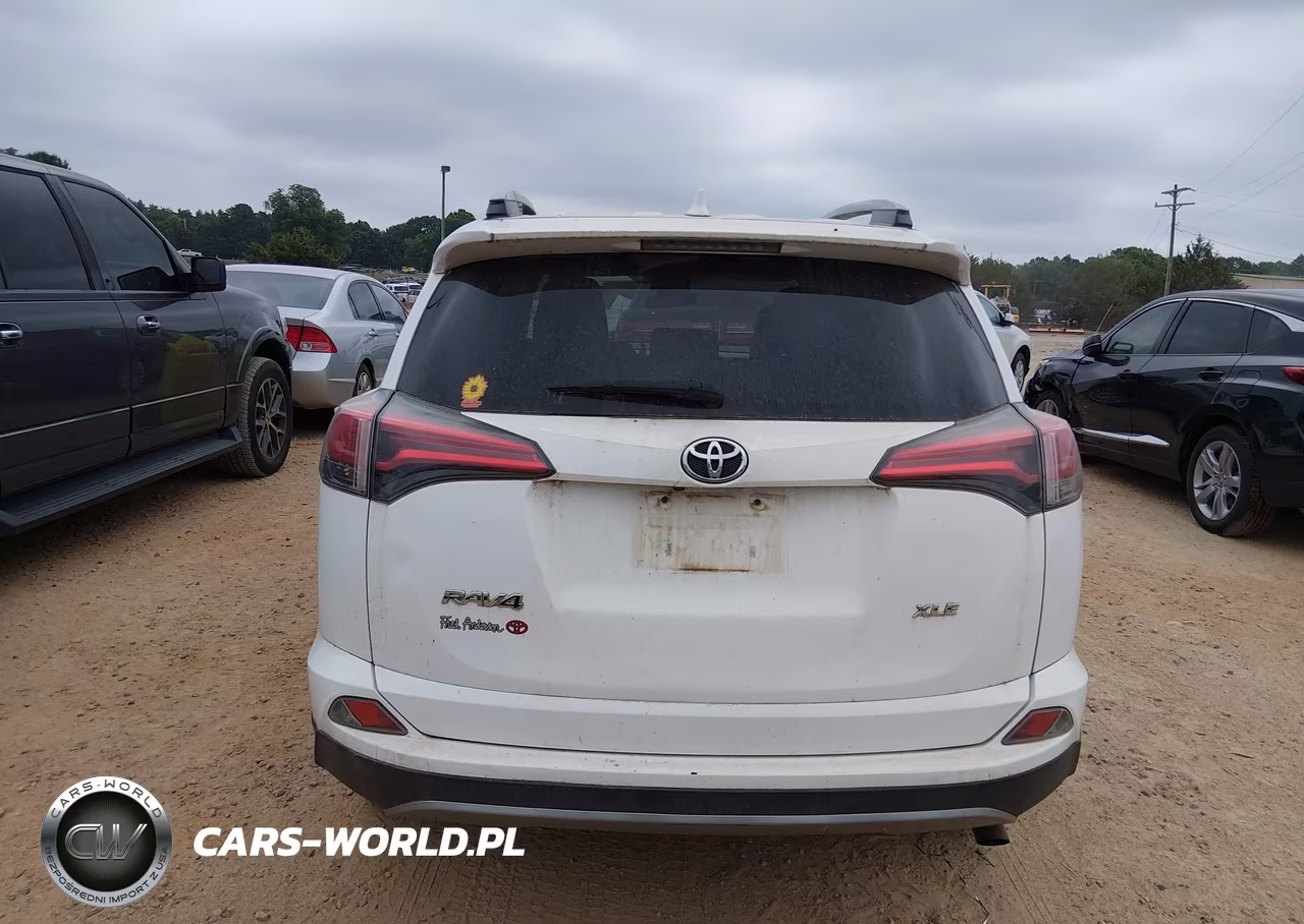 2017 Toyota Rav4 Xle VIN:2T3WFREV5HW392157 - 16