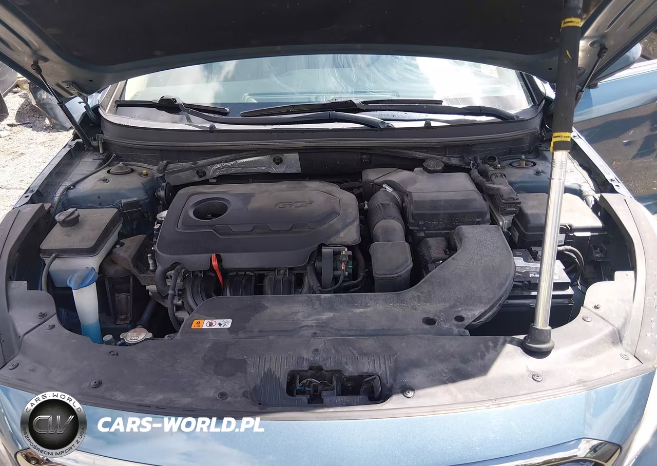 2016 Hyundai Sonata Se VIN:5NPE24AF1GH275271 - 10