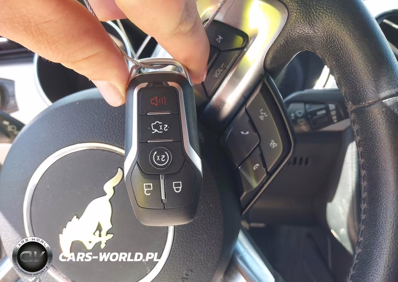 2017 Ford Mustang Ecoboost VIN:1FA6P8TH0H5307209 - 11