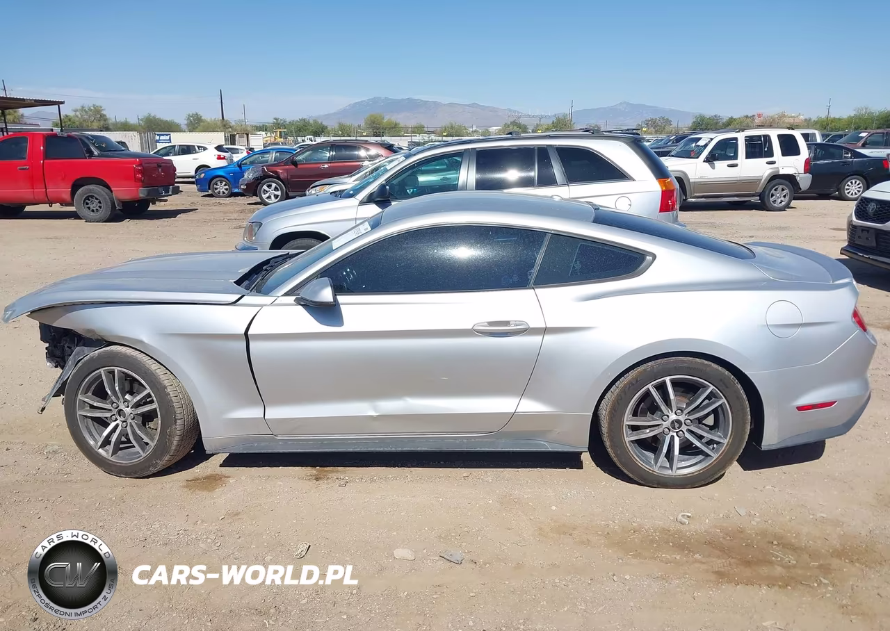 2017 Ford Mustang Ecoboost VIN:1FA6P8TH0H5307209 - 15