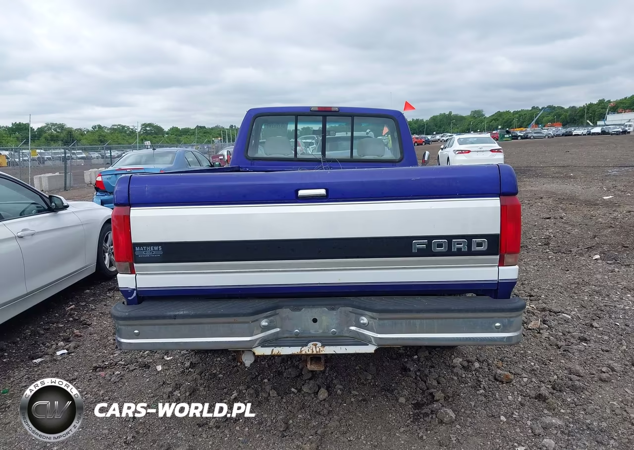 1995 Ford F150 VIN:1FTEF15N7SLA53911 - 16