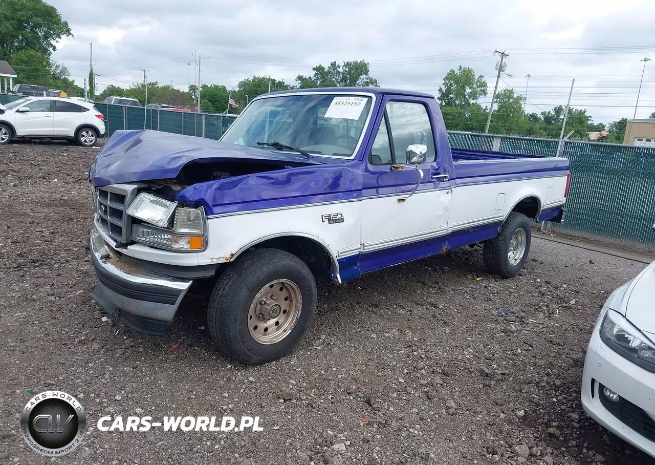 1995 Ford F150 VIN:1FTEF15N7SLA53911 - 2