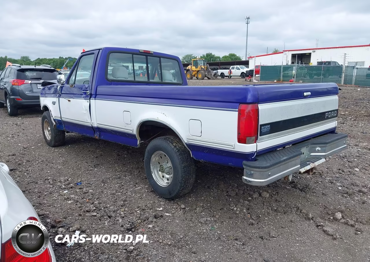 1995 Ford F150 VIN:1FTEF15N7SLA53911 - 3