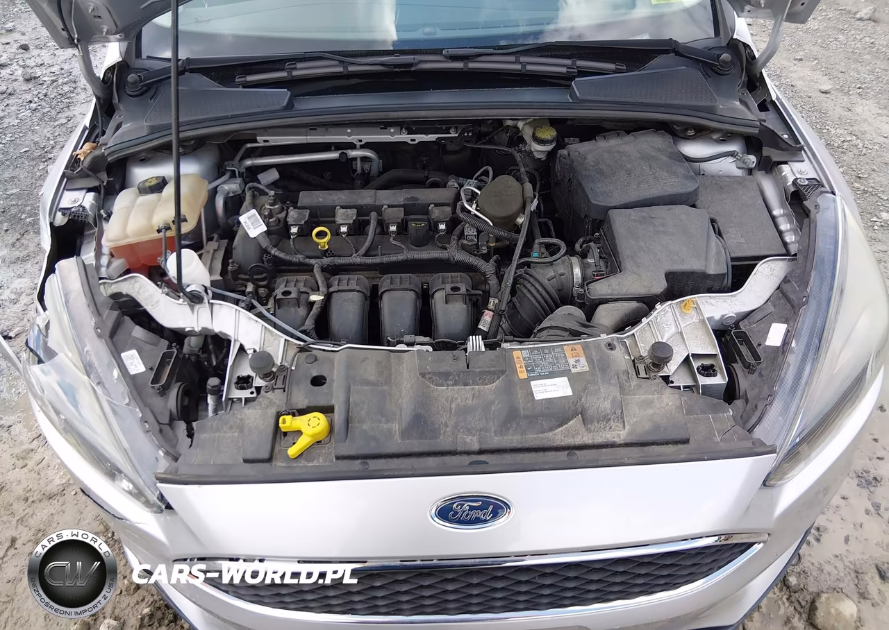 2015 Ford Focus Se VIN:1FADP3F23FL229678 - 10