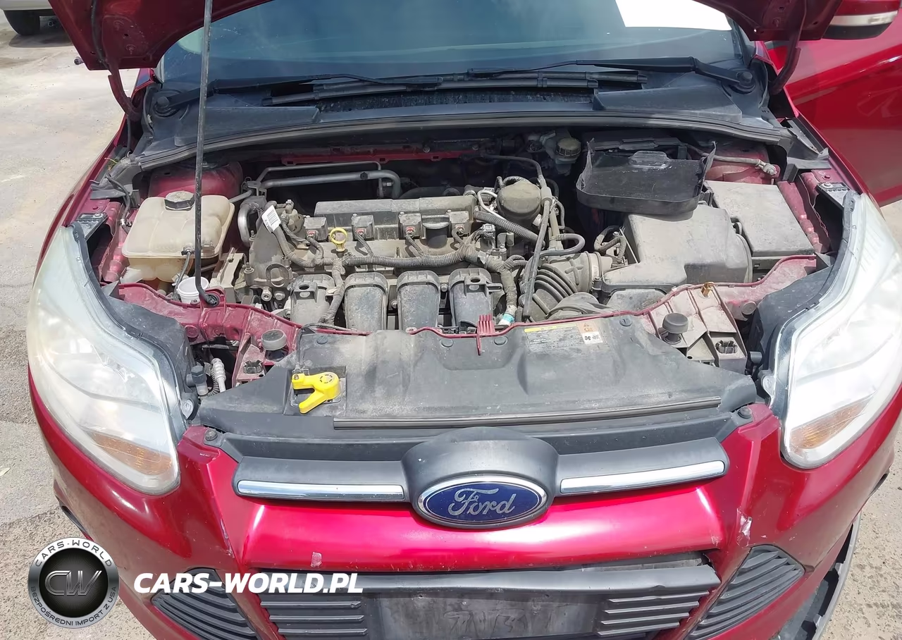 2014 Ford Focus Se VIN:1FADP3F23EL266843 - 10