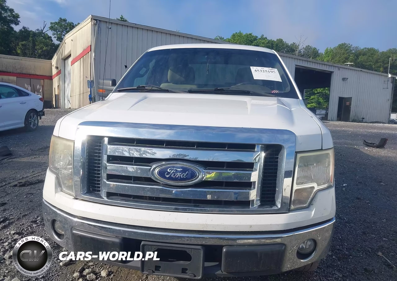 2010 Ford F-150 Fx2 Sport-Stx-Xl-Xlt VIN:1FTEX1C82AFA45142 - 12