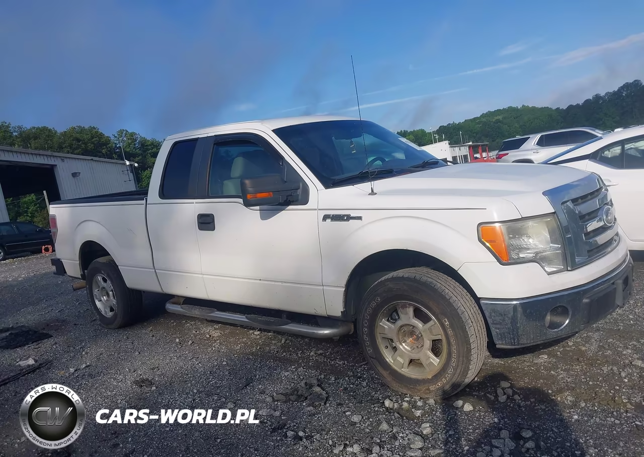 2010 Ford F-150 Fx2 Sport-Stx-Xl-Xlt VIN:1FTEX1C82AFA45142 - 13