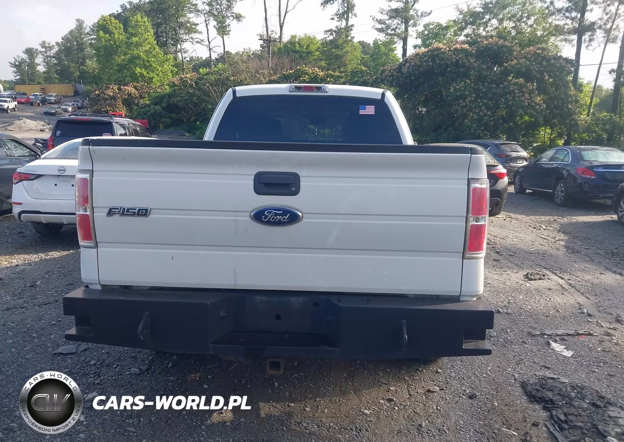 2010 Ford F-150 Fx2 Sport-Stx-Xl-Xlt VIN:1FTEX1C82AFA45142 - 16