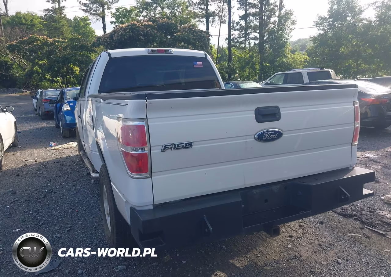 2010 Ford F-150 Fx2 Sport-Stx-Xl-Xlt VIN:1FTEX1C82AFA45142 - 3
