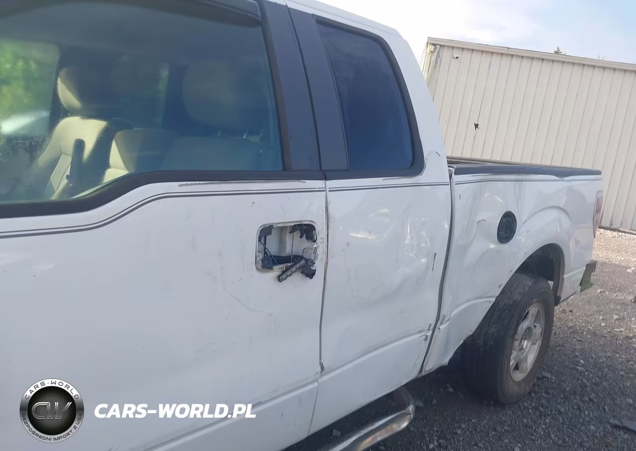 2010 Ford F-150 Fx2 Sport-Stx-Xl-Xlt VIN:1FTEX1C82AFA45142 - 6