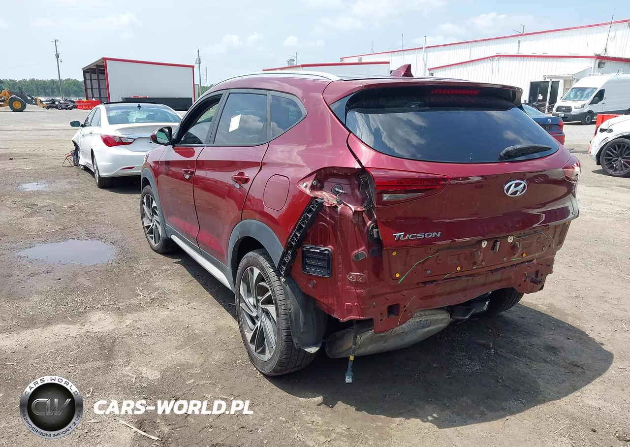 2019 Hyundai Tucson Sport VIN:KM8J3CAL7KU847787 - 3