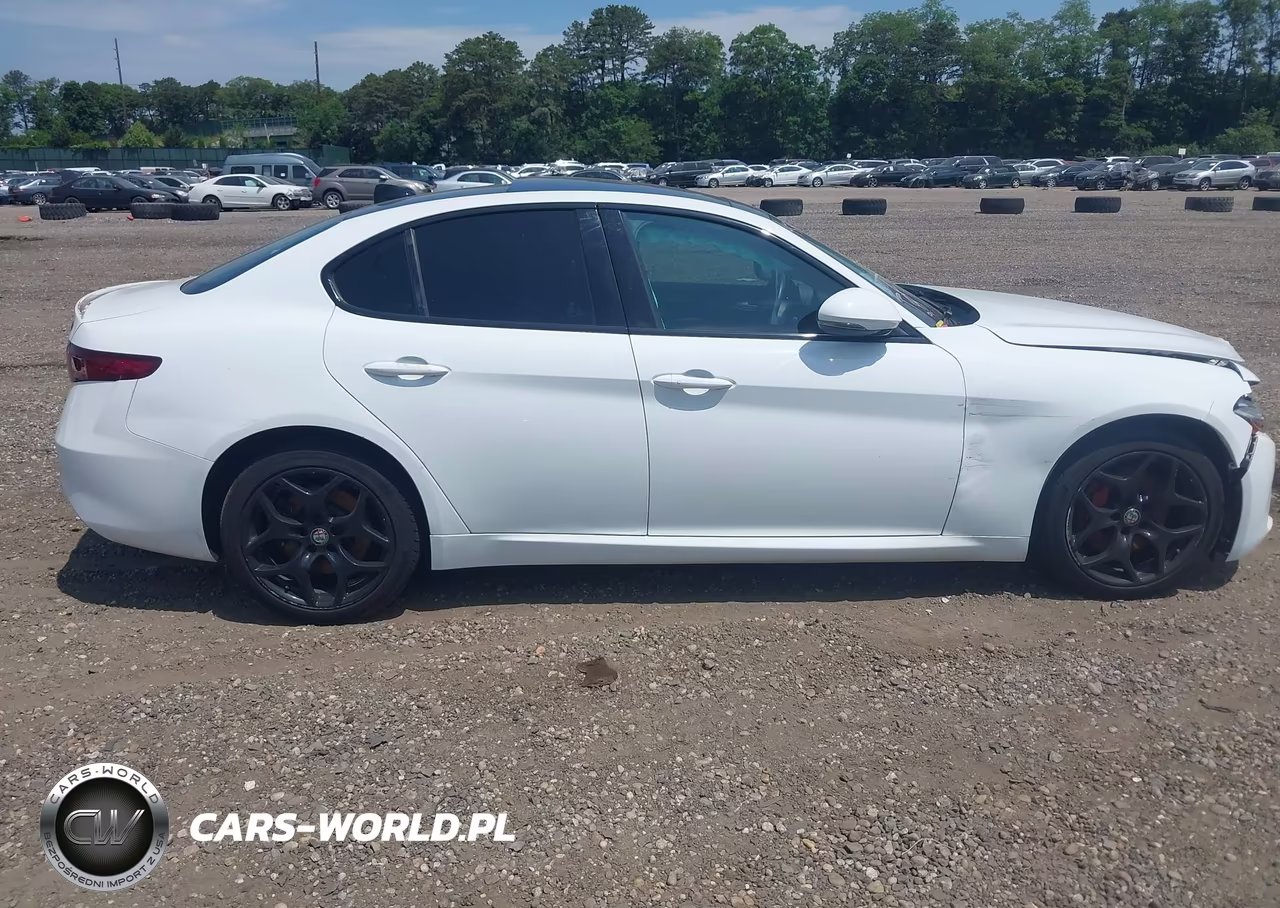 2019 Alfa Romeo Giulia Ti Awd VIN:ZARFANBN9K7622190 - 13